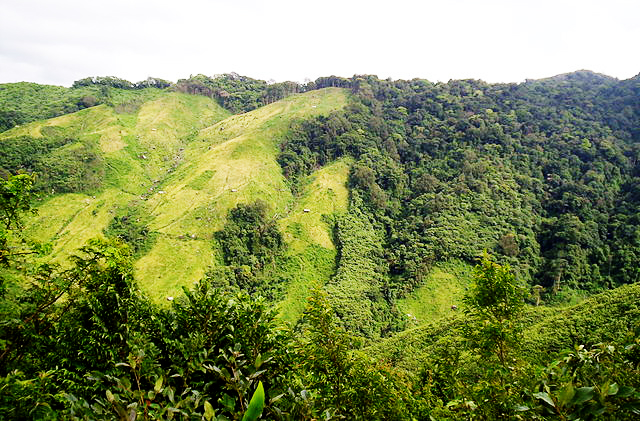 Jhum Cultivation Its Advantages Disadvantages AKMINDIA